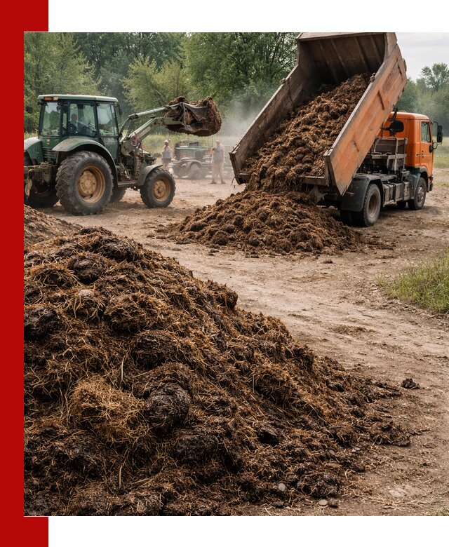Доставка навоза самосвалами в Дальнереченске для сельхозпотребностей