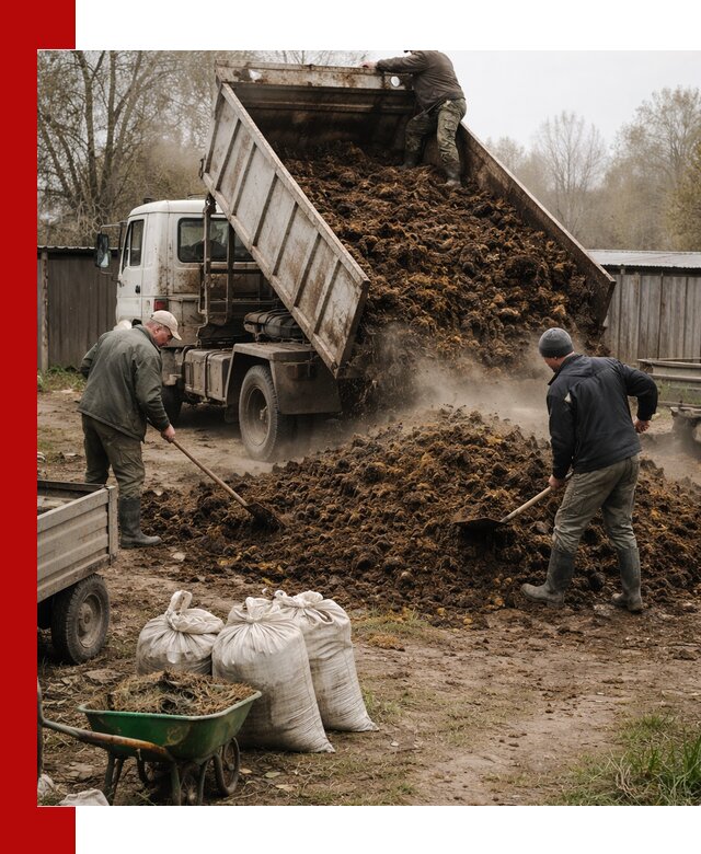 Доставка коровьего навоза самосвалом в Дальнереченске